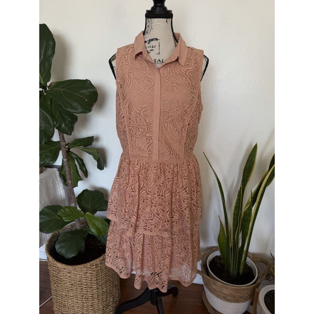 The Addison Story Women's Petite Pink Floral Lace Collared Lined Dress Size L